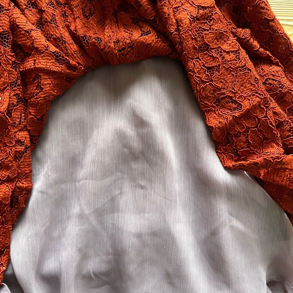 Anthropologie Moulinette Soeurs Burnt Orange | Red Lace Skirt – Size 10 – NWT - Picture 4 of 6